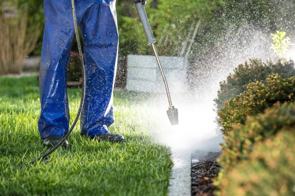 Cost of Curb Cleaning in Simi Valley